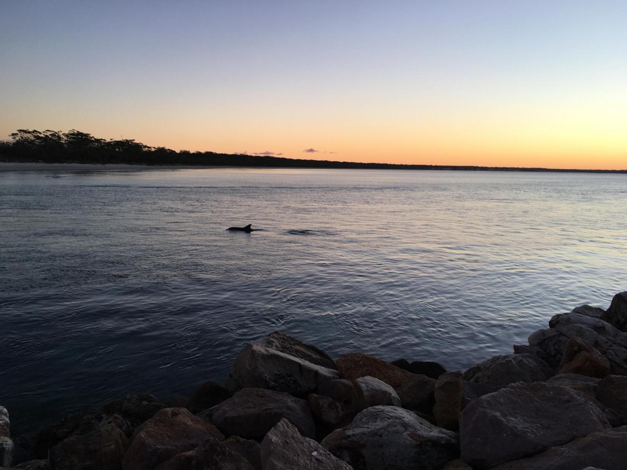 Jervis Bay Motel Гаскіссон Екстер'єр фото