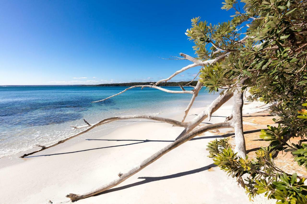 Jervis Bay Motel Гаскіссон Екстер'єр фото